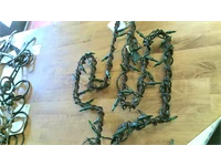barb wire cactus